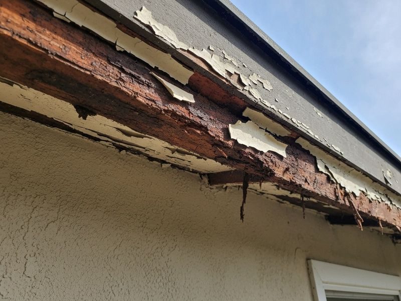 Fascia Soffit Rot Repair Hickman Ca