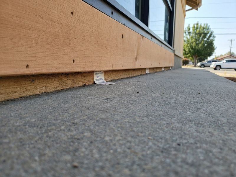 Documented Rot Repair Progress Modesto Ca