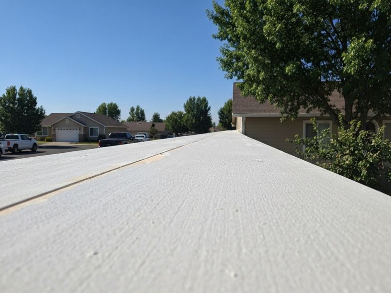 Eave Overhang Decay Removal Modesto Ca