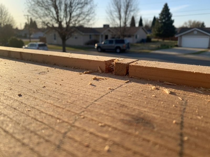 Rafter Tail Sistering Modesto Ca