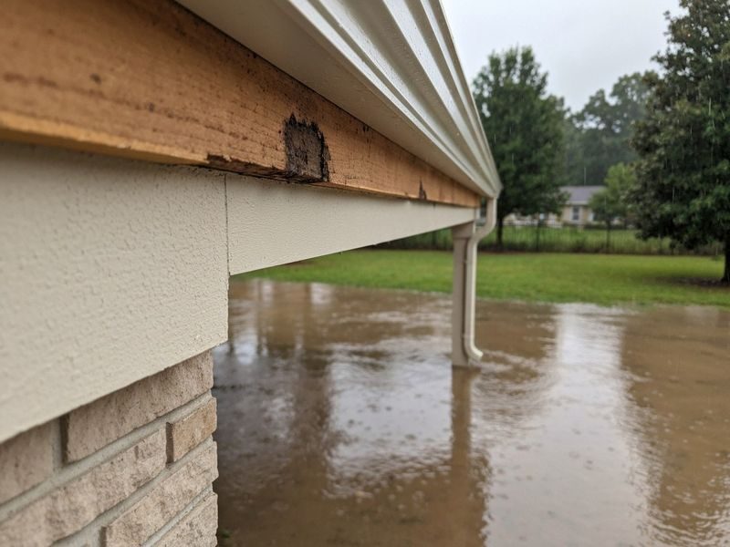 Modesto Ca Outbuilding Roof Trim Rot